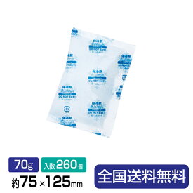 保冷剤(ソフトタイプ)フリーザーアイスRA70-2 約75×125 70g 260個入＜130個×2箱＞ 1包