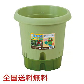 楽天市場 野菜 栽培 コンテナの通販