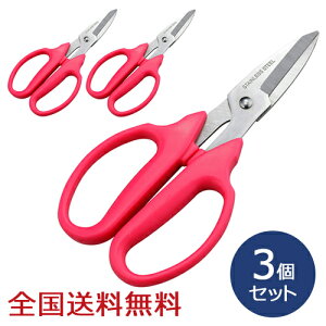 y|Cg10{zt[͂ A؂΂ | K[fjO 3Zbg