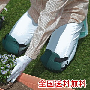 y|Cg10{zӂЂK[h G ЂpNbV Ђpbh