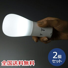 【ポイント10倍】持っても置いても便利な2WAYライト(LED) 懐中電灯 スタンド 電灯 携帯 防災 手持ち お得な2個セット