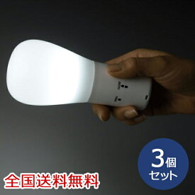 持っても置いても便利な2WAYライト(LED) 懐中電灯 スタンド 電灯 携帯 防災 手持ち お得な3個セット