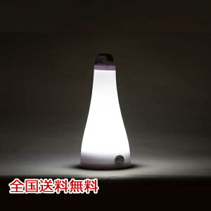 COB 3WAY LIGHT ���C�g �����^�� �����v �����d��