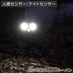 y|Cg10{z\[[K[fCg lZT[^Cv \[[ K[fCg 220[ Op _  h