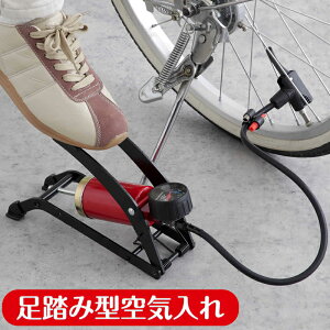 y|Cg10{zC  ] {[  v[ X|[c AEghA ݌^C tbgvbV[