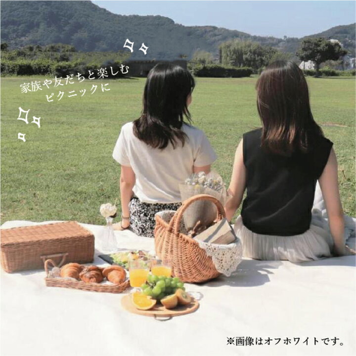 楽天市場】【正規代理店】 【ポイント10倍】 レジャーシート COMFY  