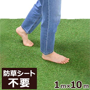 lH lHŃ[ 1m×10m V[gsv Jbg₷ Ռ ͂ GɂlH