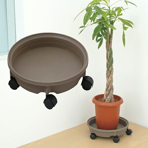 y|Cg10{z󂯃v[gLX^[t 350 XuE v^[