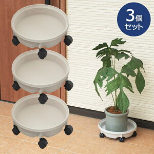 y|Cg10{z󂯃v|gLX^[t 350 JAC{[ v^[ 3Zbg