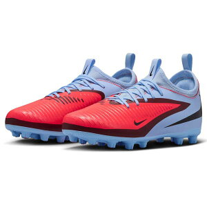 TbJ[ iCL WjA t@g 6 [ AJf~[ HG PHANTOM LOW ACADEMY XpCN V[Y yp HQ2046-400 NIKE