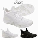 バスケット シューズ アシックス ブレーズ ノヴァ BLAZE NOVA 1061A020 バッシュ asics