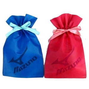 ~Ym bsOobO(STCY)/bsO(PƍwsijMBAG-MINI