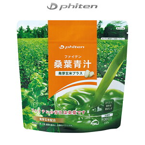 �t�@�C�e�� �X�|�[�c�H�i �K�t�` ���茺�ăv���X �����p EG586000 phiten -BO-