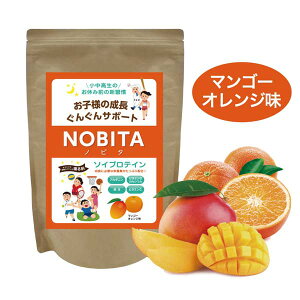 y|Cg10{ yz WjA veC NOBITA \CveC mr^ 600g Tvg  q T|[g g ̂Â FD0002