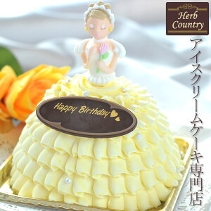 CG[ vZX E hX ACXP[L 4.5i a o[Xf[ P[L F j