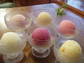 アイスクリーム（120ml） 12個シャーベットセット