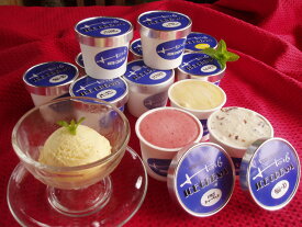 アイスクリーム（120ml） お好みセット6個