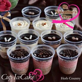 バレンタイン限定プレミアムアイス・アイスクリーム12個セット 義理チョコ 人気 ギフト