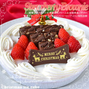 NX}XACXP[LEXgx[uEj[5