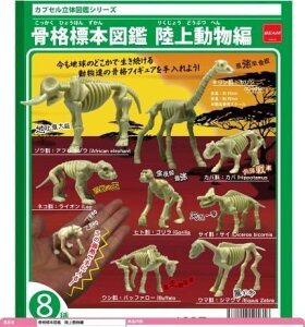 yiW{}Ӂz 㓮 K`K` JvZgC r[