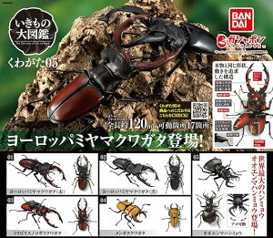 y̑}Ӂz킪05@ K`K` JvZgC