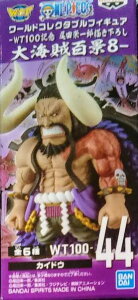 ys[Xz[hRN^utBMA WT100LO chY`낵 CSi8@WT-100 44 JChEyPiz