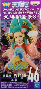 ys[Xz[hRN^utBMA WT100LO chY`낵 CSi8@WT-100 46 yPiz