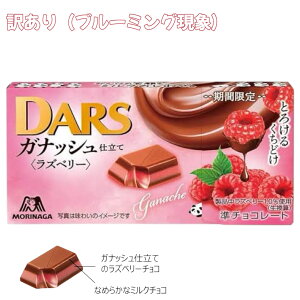 【訳あり/ブルーミング現象】DARS ガナッシュ仕立て ラズベリー 46g(12粒) チョコレート 賞味期限2025年8月31日 日本もったいない食品センター ecoeat エコイート 通販 賞味期限切れ 賞味期限切
