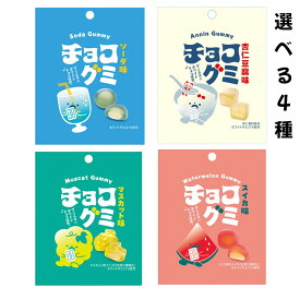 チョコグミ 選べる4種（ソーダ 杏仁豆腐 マスカット スイカ） 賞味期限2025年10月17日以降 日本もったいない食品センター ecoeat エコイート 通販 賞味期限切れ 賞味期限切迫 規格外 訳アリ 食品