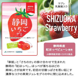 カネカ×JA静岡経済連 静岡いちごグミ 40g 賞味期限2025年8月25日 日本もったいない食品センター ecoeat エコイート 通販 賞味期限切れ 賞味期限切迫 規格外 訳アリ 食品