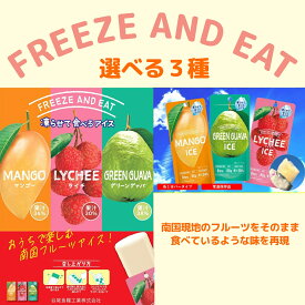 FRREZE AND EAT アイスシャーベット 選べる3種（グリーングァバ マンゴー ライチ） 賞味期限2026年3月31日以降 日本もったいない食品センター ecoeat エコイート 通販 賞味期限切れ 賞味期限切迫 規格外 訳アリ 食品