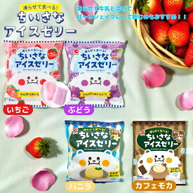 凍らせて食べるちいさなアイスゼリー 選べる4種 （いちご ぶどう バニラ カフェモカ） 賞味期限2025年12月4日以降 日本もったいない食品センター ecoeat エコイート 通販 賞味期限切れ 賞味期限切迫 規格外 訳アリ 食品