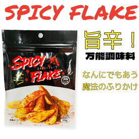 スパイシー フレーク 50g 香辣粉 クミン味 旨辛 万能調味料 シャカシャカポテトに 賞味期限2023年8月25日 日本もったいない食品センター ecoeat エコイート 通販 賞味期限切れ 賞味期限切迫 規格外 訳アリ 食品