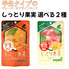 半生製法 しっとり果実 30g ドライフルーツ 選べる2種 （みかん りんご） 賞味期限2025年12月28日 日本もったいない食品センター ecoeat エコイート 通販 賞味期限切れ 賞味期限切迫 規格外 訳アリ 食品