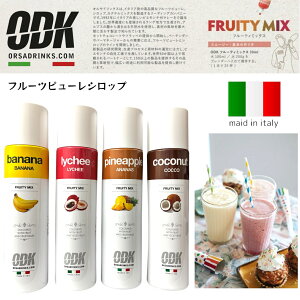 ODK フルーツピューレシロップ 選べる4種(バナナ ライチ パイナップル ココナッツ) 賞味期限2025年3月15日以降 日本もったいない食品センター ecoeat エコイート 通販 賞味期限切れ 賞味期限