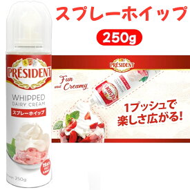 プレジデント スプレーホイップ 250g 賞味期限2025年9月23日 日本もったいない食品センター ecoeat エコイート 通販 賞味期限切れ 賞味期限切迫 規格外 訳アリ 食品
