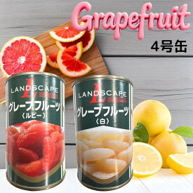 ランドスケープ トルコ産 グレープフルーツ 4号缶 選べる2種 （ルビー 白） 賞味期限2027年11月1日 日本もったいない食品センター ecoeat エコイート 通販 賞味期限切れ 賞味期限切迫 規格外 訳アリ 食品