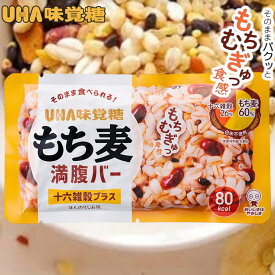 UHA味覚糖 もち麦 満足バー 十六雑穀プラス ほんのりしお味 賞味期限2025年12月31日 日本もったいない食品センター ecoeat エコイート 通販 賞味期限切れ 賞味期限切迫 規格外 訳アリ 食品