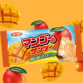 マンゴーのサンダー ブラックサンダー 賞味期限2026年1月6日 日本もったいない食品センター ecoeat エコイート 通販 賞味期限切れ 賞味期限切迫 規格外 訳アリ 食品