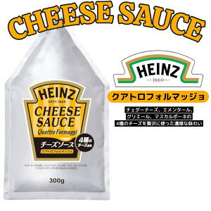 nCc HEINZ NAgtH}bW 300g `[Y\[X ܖ2025N118 {ȂHiZ^[ ecoeat GRC[g ʔ ܖ؂ ܖؔ KiO A Hi