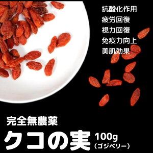 S_ Y NR̎ 100g SWx[ hCt[c ܖ2026N81 {ȂHiZ^[ ecoeat GRC[g ʔ ܖ؂ ܖؔ KiO A Hi