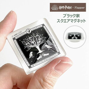 n[|b^[ ObY FLAPPER tbp[ ubN XNGA}Olbg KX}Olbg fB[X Y }Olbg  ①   킢   IV 