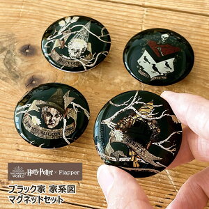ハリーポッター グッズ FLAPPER フラッパー ブラック家 家系図 マグネットセット ガラスマグネット マグネット 磁石 冷蔵庫 小さめ 小さい かわいい 可愛い おしゃれ オシャレ 大人 雑貨 小物