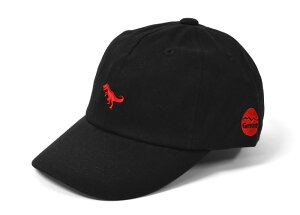 Rbg  _Ci\[ hJ [Lbv /LbY ̎q j̎q q qǂ  LbYTCY jp Lbv Xq CAP JWA 킢   tFX n Vv