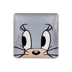 gƃWF[ ObY FLAPPER tbp[ tY KXNbv Nbv J[hX^h J[hNbv J[h ʐ^ Nbv X^h َq  pi  