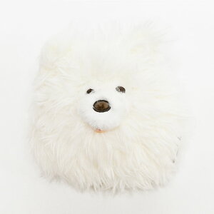 ViEU[ V}GiK lR TGh Xl _CJbg |[` ~j|[`  킢   ʂ  ObY Mtg v[g  G tFCNt@[ 