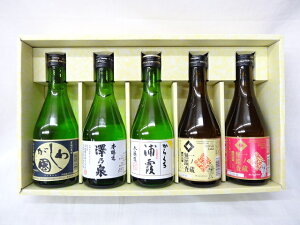 [2]  (ꕔΏۊO) { n y { z ݔ Mtg 5{Zbg 300ml ( m Y VT 킵 ) {錧 sykCE+300~zylEB+500~zy+1500
