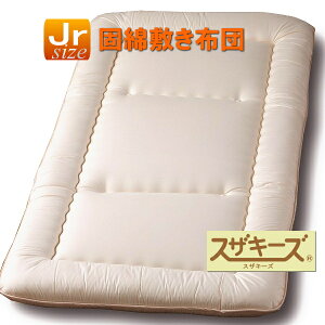 yAM[ΉzXUL[Ył킽~zcm[}^Cv(WjATCY)ӂƂ _jEnEX_Xg@AM[΍ qmL`I[ Xqo Ŗ ~ӂƂy{/Yzy