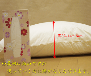 防ダニ枕の高さ