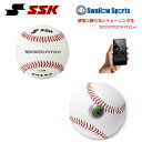 野球 SSK エスエスケイ 野球 トレーニング テクニカルピッチ TP001 巣ごもり すごもり おうち時間 グッズ ステイホー…